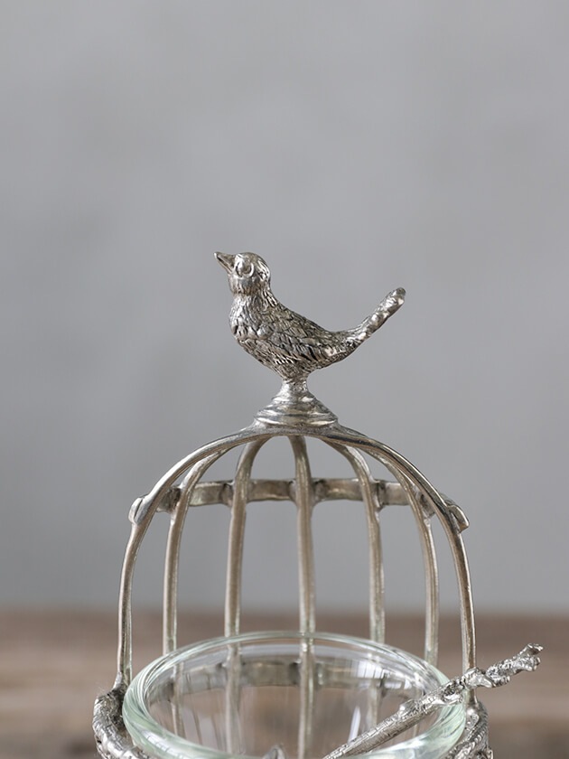 Pewter���ѥ����ۥ����&���ס���Bird Cage