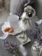 Lene Bjerre�Х�꡼�ʥ�ӥå�C ����С�