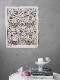 Antoinette Poisson�ɥߥΥڡ��ѡ�15A 5��