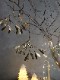 Shishi��ɥꥮ�Υ����ʥ��� ����ƥ������֥饹21cm