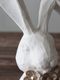 LeneBjerre�֡�������Ĥ������������H25.8cm