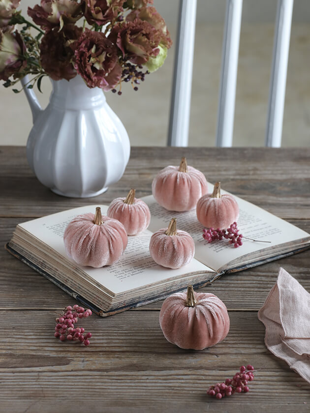 �ѥ�ץ���6�ĥ��å� �ԥ�