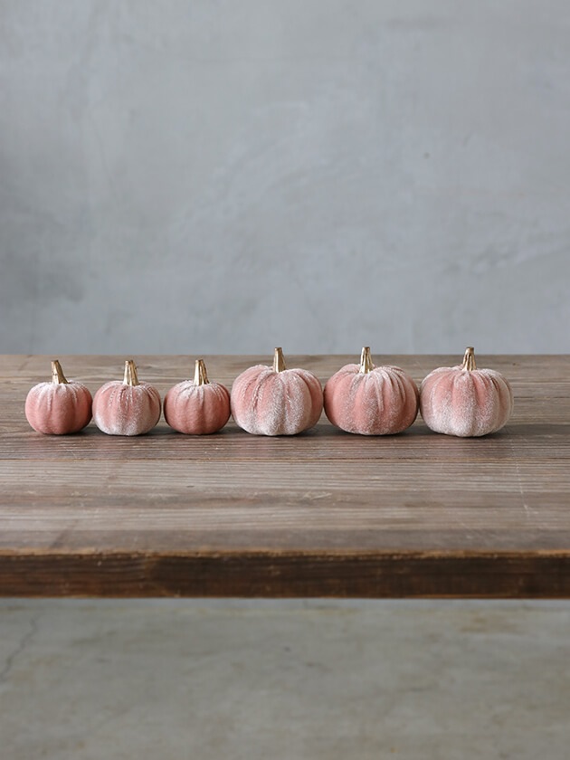 �ѥ�ץ���6�ĥ��å� �ԥ�