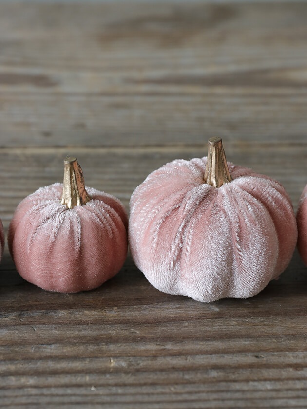 �ѥ�ץ���6�ĥ��å� �ԥ�