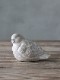 ֥Bird A