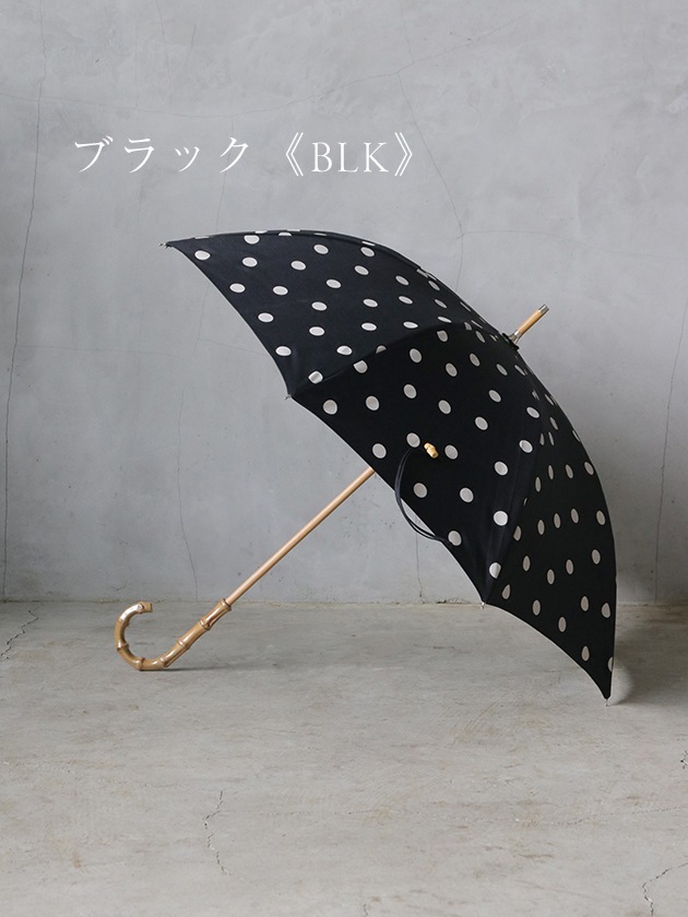 ѥ硼ȻDots