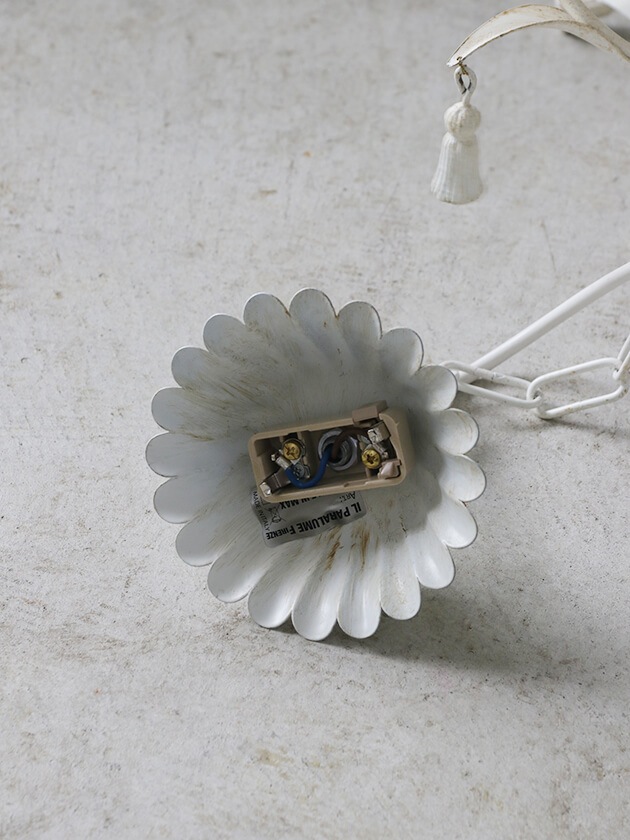 IL ParalumeǥꥢMarian4ۥ磻