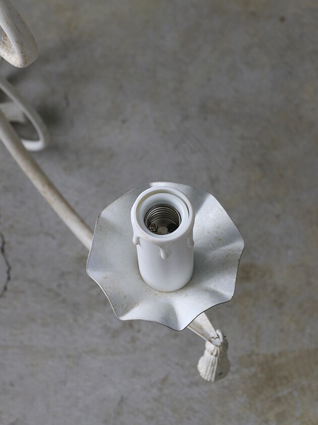 IL ParalumeǥꥢMarian4ۥ磻