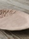 Virginia Casa ROMANTICAǥʡץ졼30x26cm  ԥ