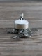 Sarah pewter�ƥ����饤�ȥ����ɥ�ۥ�����ꥹ