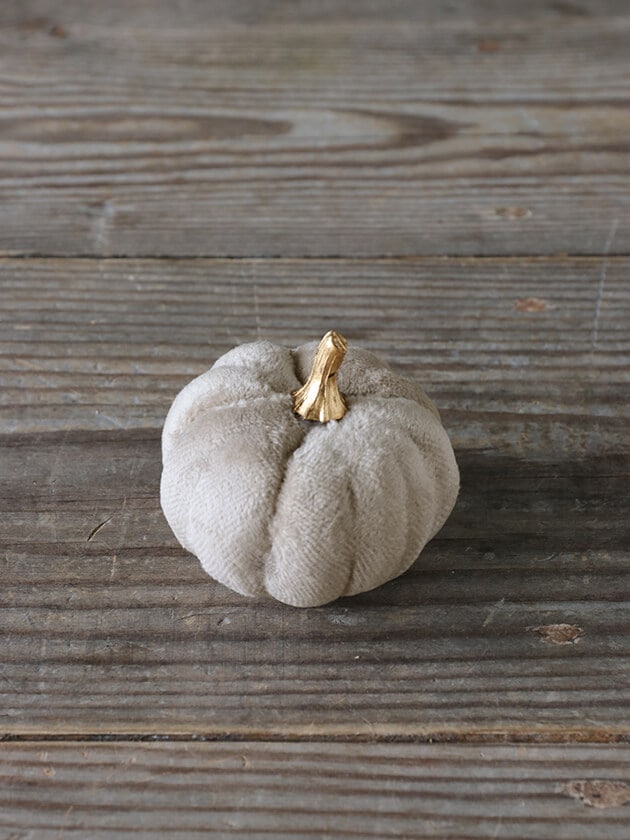 �ե��֥�å��ѥ�ץ��� ���졼8cm