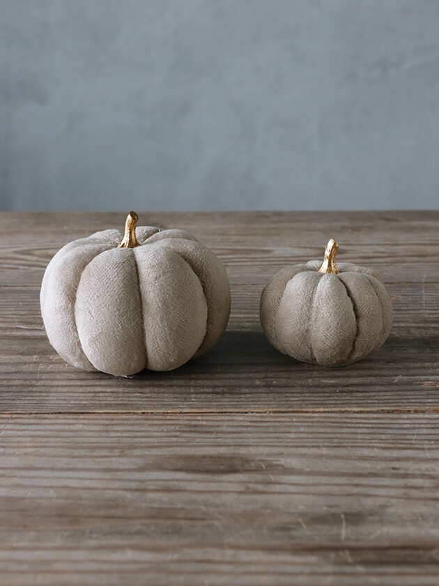 パンプキング ブレーズパンプキンの種 ＊F1 - マルシェ青空