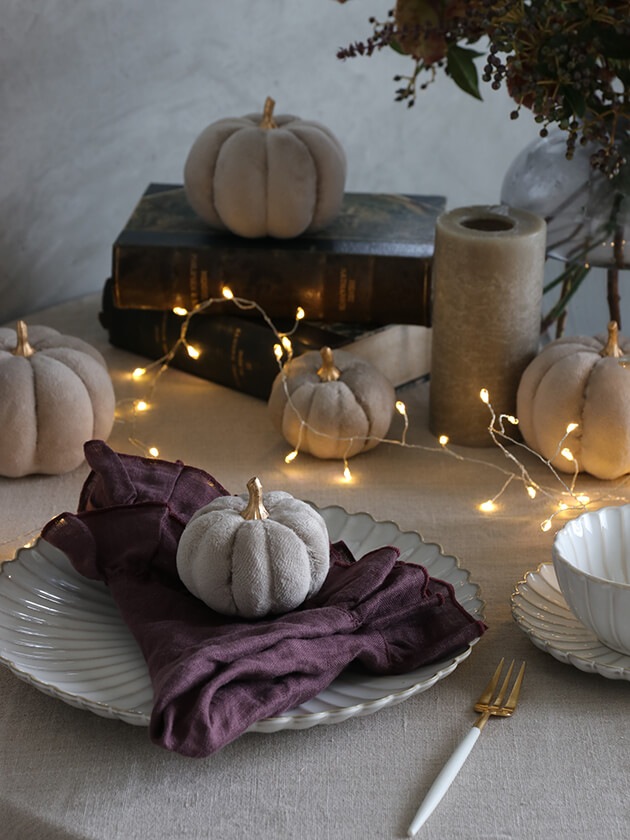 �ե��֥�å��ѥ�ץ��� ���졼8cm