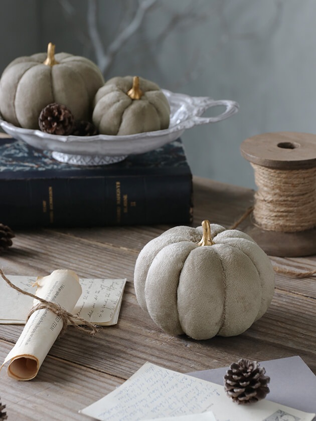 �ե��֥�å��ѥ�ץ��� ���졼11cm