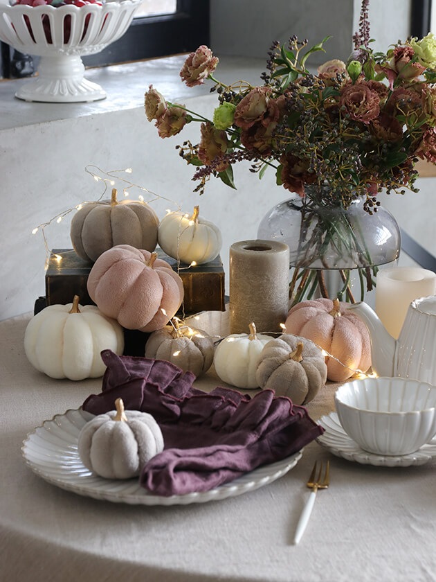 �ե��֥�å��ѥ�ץ��� ���졼11cm