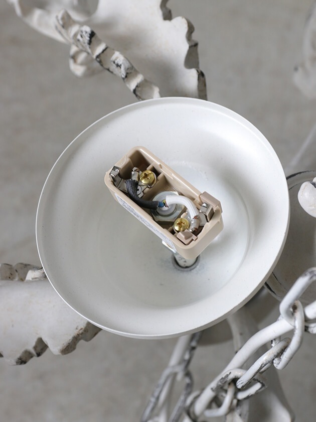 IL ParalumeǥꥢFreya5졼