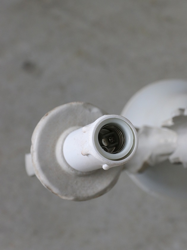 IL ParalumeǥꥢFreya5졼