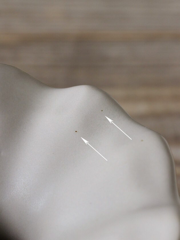 Lene Bjerre�ե��١���Susille��ͥ�Wide