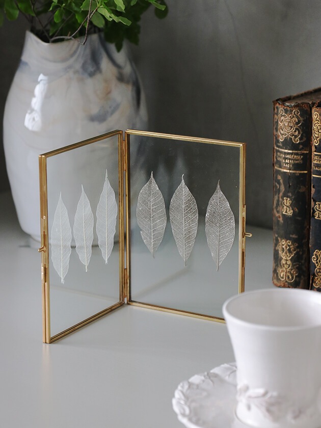 ���饹�ե졼�� ������ɥ��֥� �������