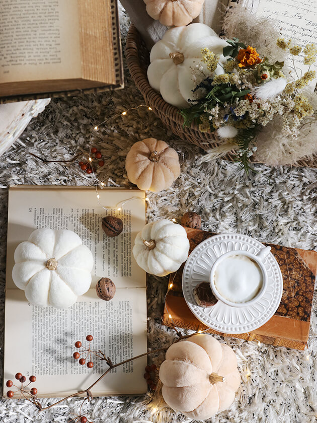 �ե��֥�å��ѥ�ץ��� ���꡼��8cm