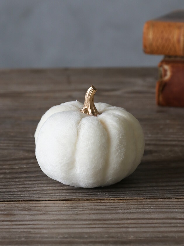 �ե��֥�å��ѥ�ץ��� ���꡼��8cm