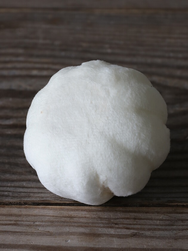 �ե��֥�å��ѥ�ץ��� ���꡼��8cm