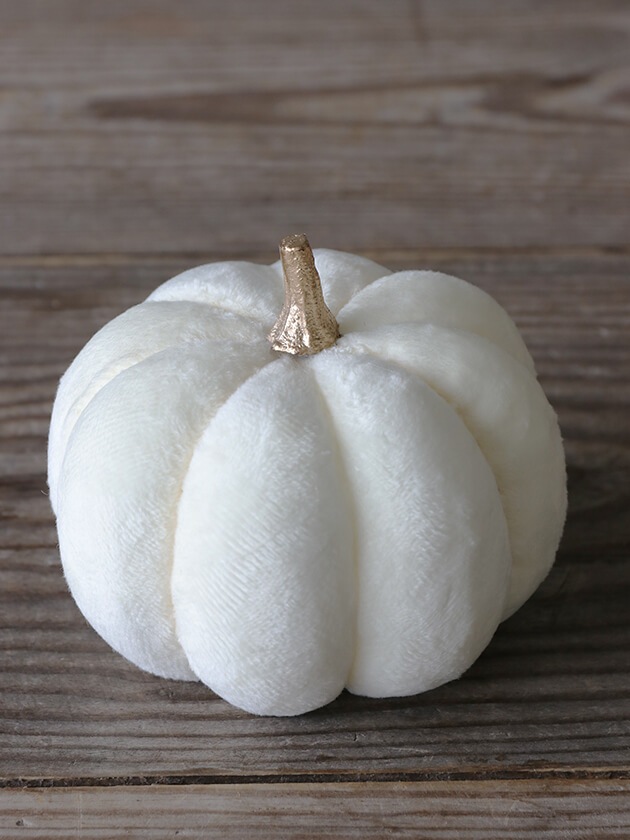 �ե��֥�å��ѥ�ץ��� ���꡼��11cm