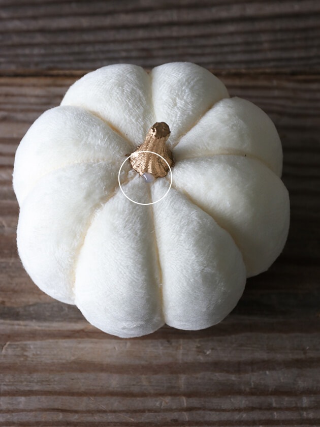 �ե��֥�å��ѥ�ץ��� ���꡼��11cm