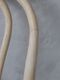 SGD�����˥󥰥�����Bentwood�ʥ�����D