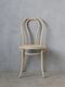 SGD�����˥󥰥�����Bentwood�ʥ�����D