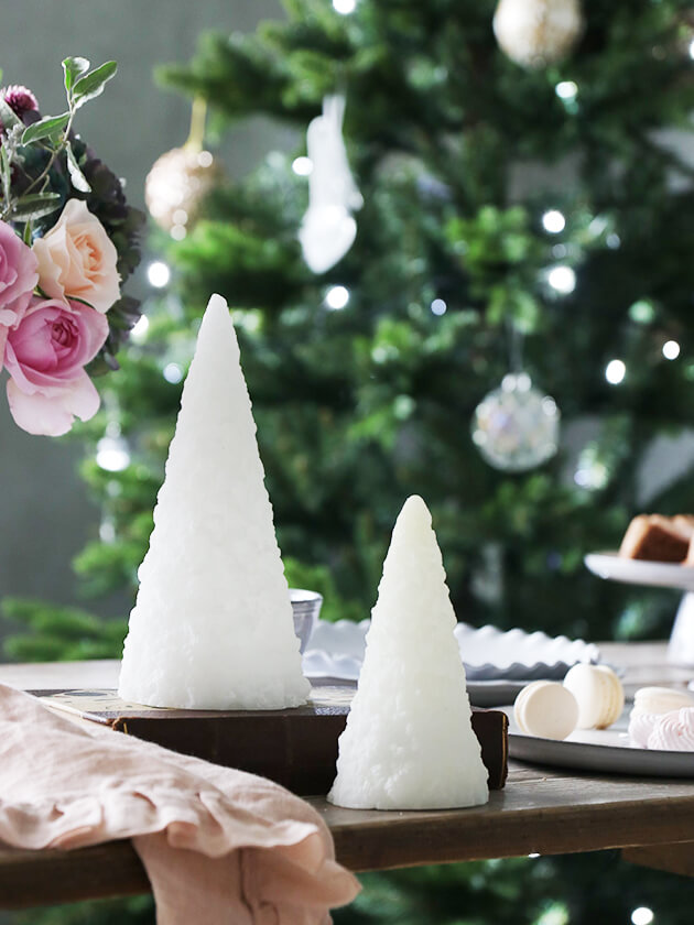 2_000000022956.jpg?1678209904