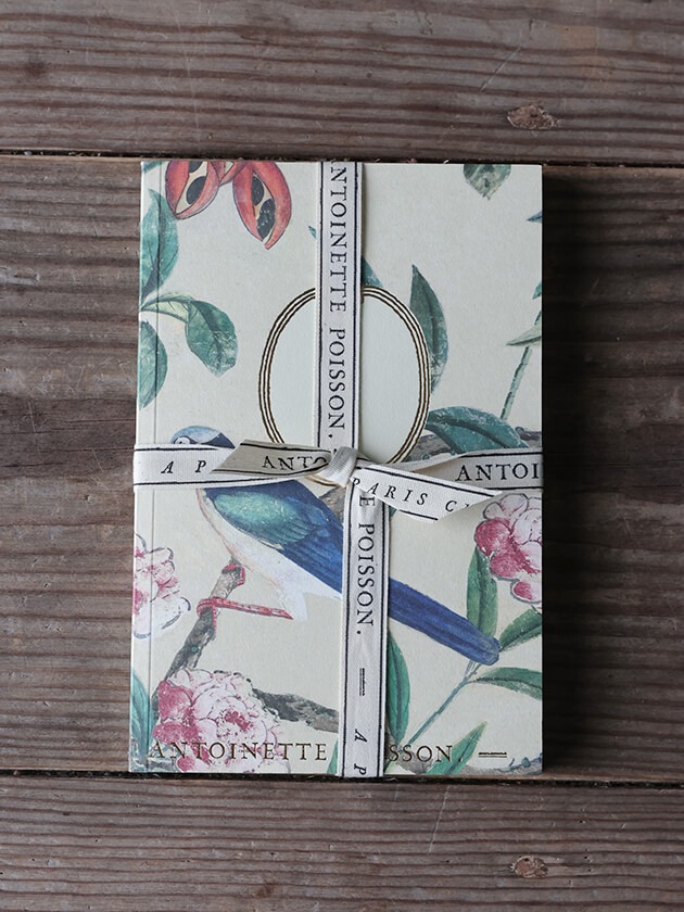Antoinette Poisson�Ρ��ȥ֥å�70A