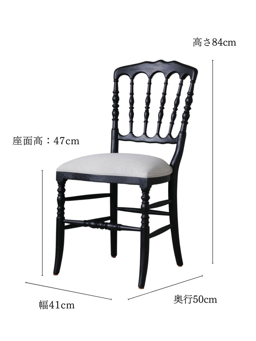 SGD�����˥󥰥�����Napoleon�֥�å�