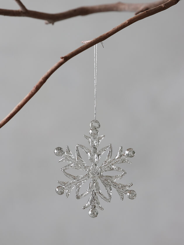 Shishi�����ʥ��ȥ��Ρ��ե졼��silver leaf6.5cm