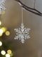 Shishi�����ʥ��ȥ��Ρ��ե졼��silver leaf6.5cm
