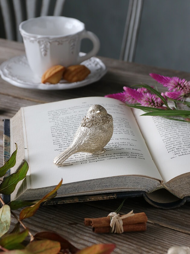 �С���B�����ѥ󥴡����