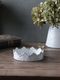 Carron���饦��ץ졼�ȥե������Couronne M 14cm