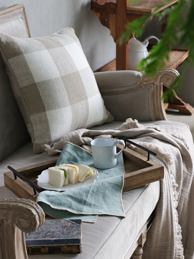 Haomy�ʥץ���CORTE�ߥ��