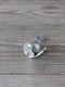 Pewter�פä��ꤦ������6�ܤΥ˥󥸥�ԥå�