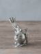 Pewter�פä��ꤦ������6�ܤΥ˥󥸥�ԥå�