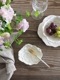 Virginia Casa ROMANTICAߥ˥ץ졼ȥۥ磻