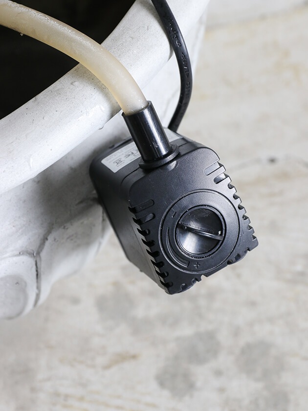 Lene Bjerre�����ǥ󥷥�Trianon