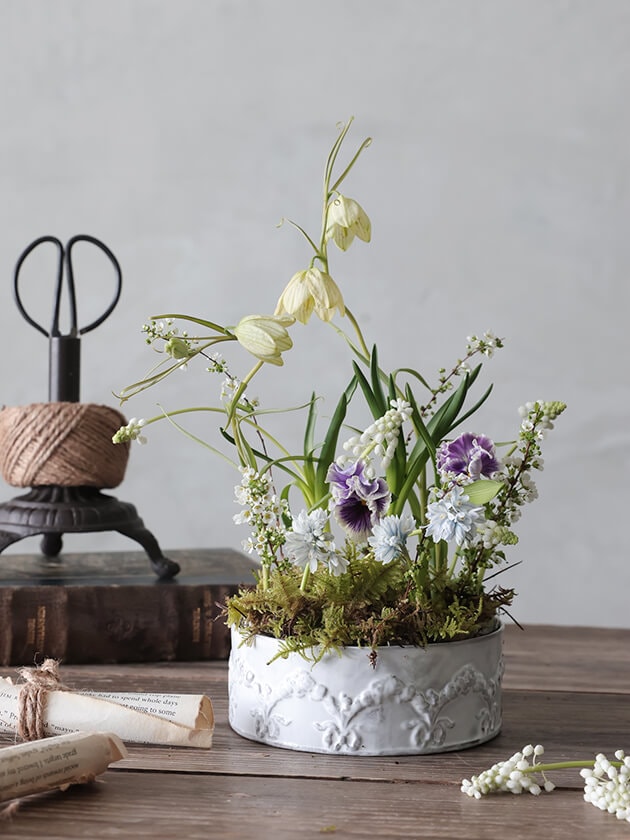 Carron�ץ졼�ȥե������Couronne M 14cm