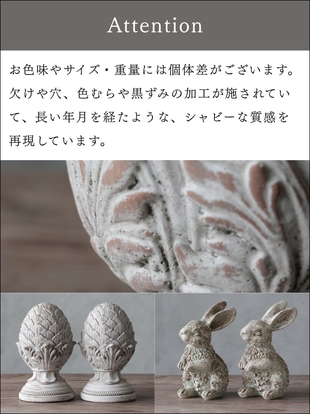 Chante������ơ��������ƥ����硼��D�ۥ磻��
