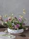 Carron�ץ졼�ȥե������Couronne L 24.5cm