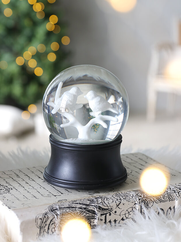 Shishi���Ρ��ɡ���Birds