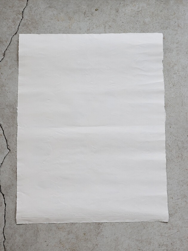 Antoinette Poisson�ɥߥΥڡ��ѡ�52A H66xL50cm