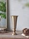 A Lot�ե��١���Tara36cm