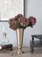 A Lot�ե��١���Tara36cm