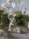 Lene Bjerre�ȥʥ���sitting�饤�ȥ������
